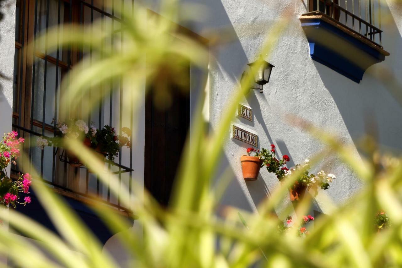 Casitas De La Sierra Montejaque Exterior foto